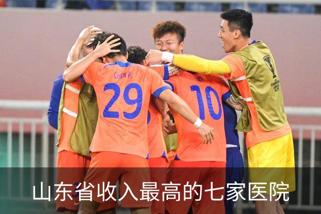 山东省收入最高的七家医院